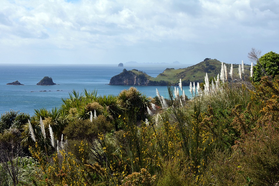 Apprécier la péninsule du Coromandel lors d’un séjour en Nouvelle-Zélande