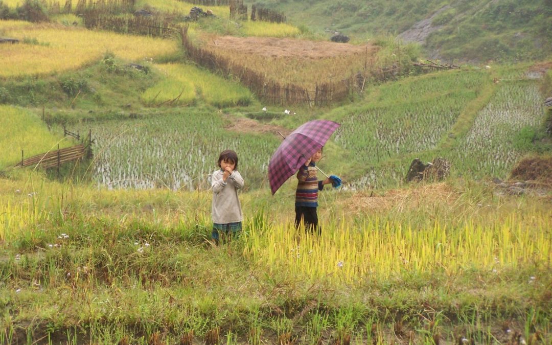 Vacances en famille au Vietnam : comment réussir son séjour ?